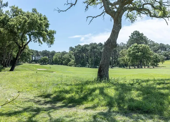 Apartment Olivia Moliets-et-Maa