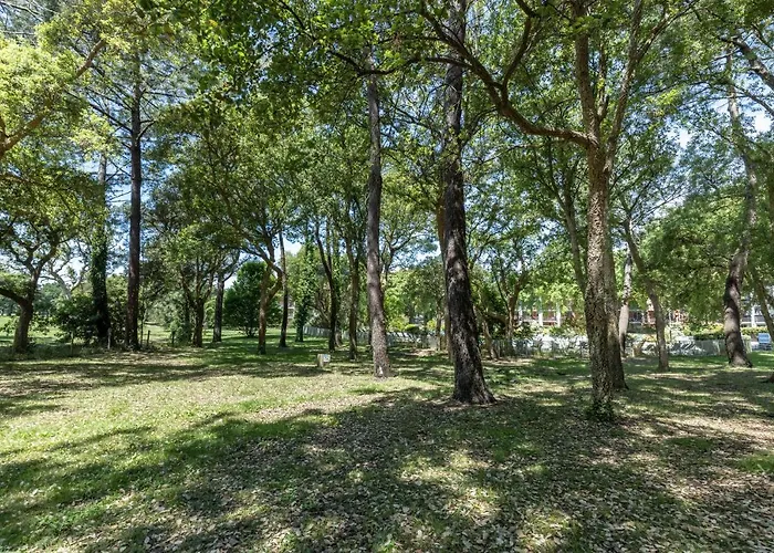 Apartamento Olivia Moliets-et-Maa